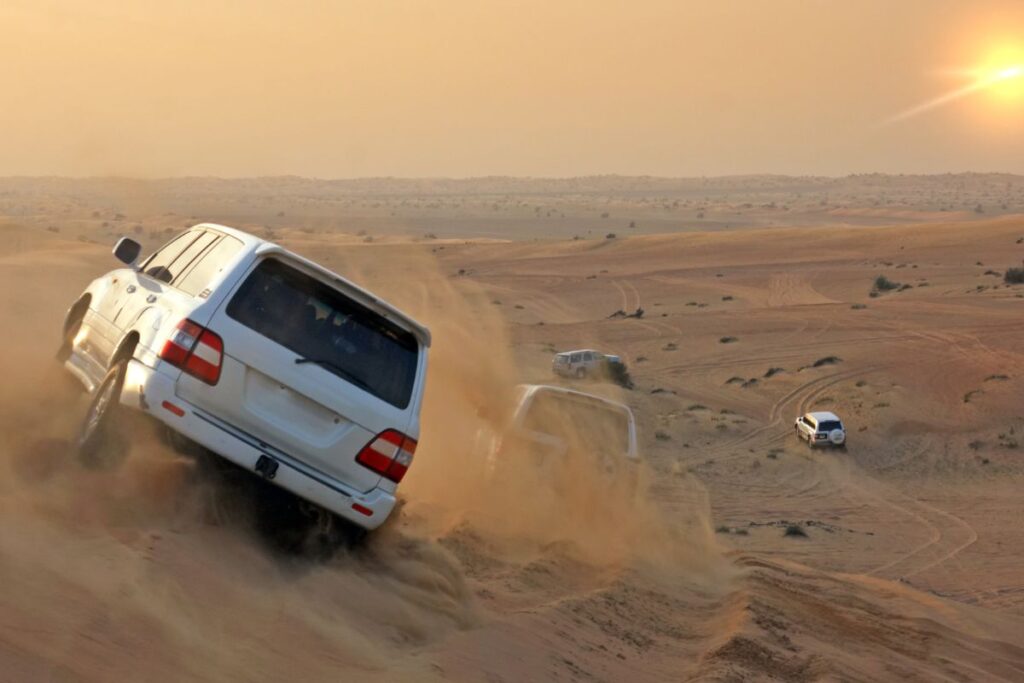 Dubai Safari: Wildlife Encounter