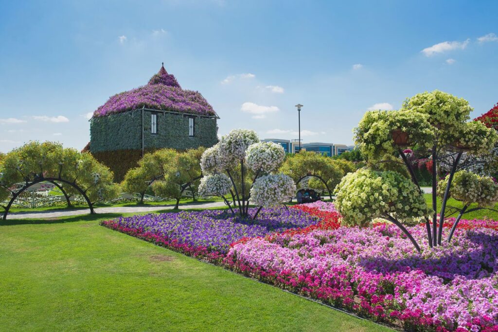 Miracle Garden Dubai